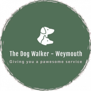 Dog Walking Weymouth