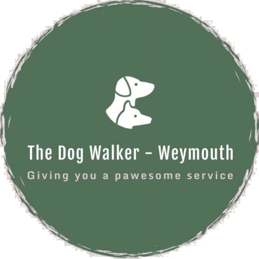 Dog Walking Weymouth